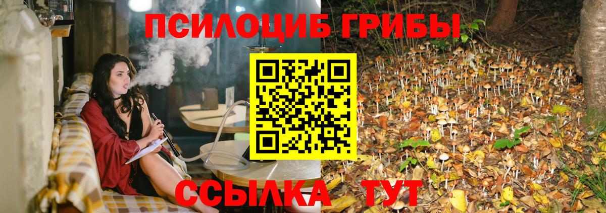 Галлюциногенные грибы MAGIC MUSHROOMS Губаха
