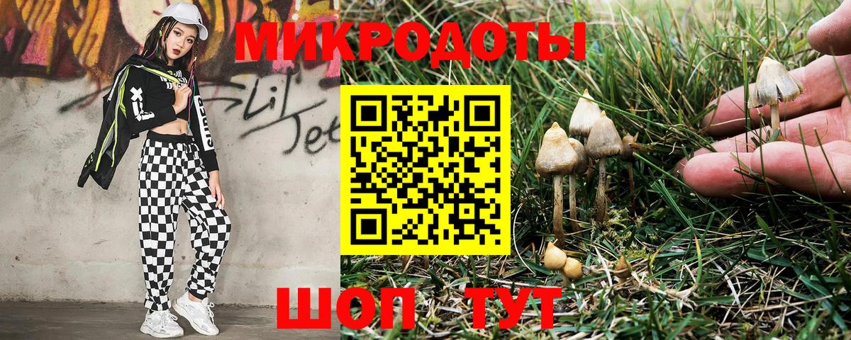 Губаха  Галлюциногенные грибы GOLDEN TEACHER  Вход с VPN 